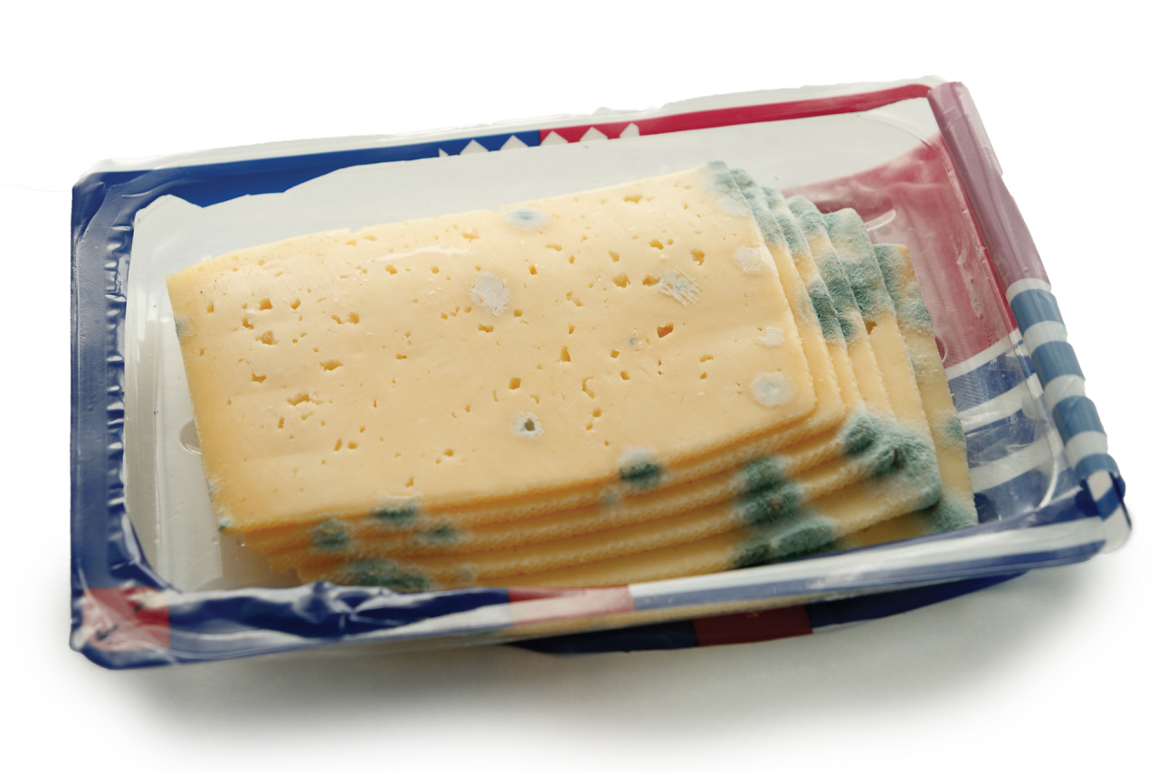 Moldy cheese